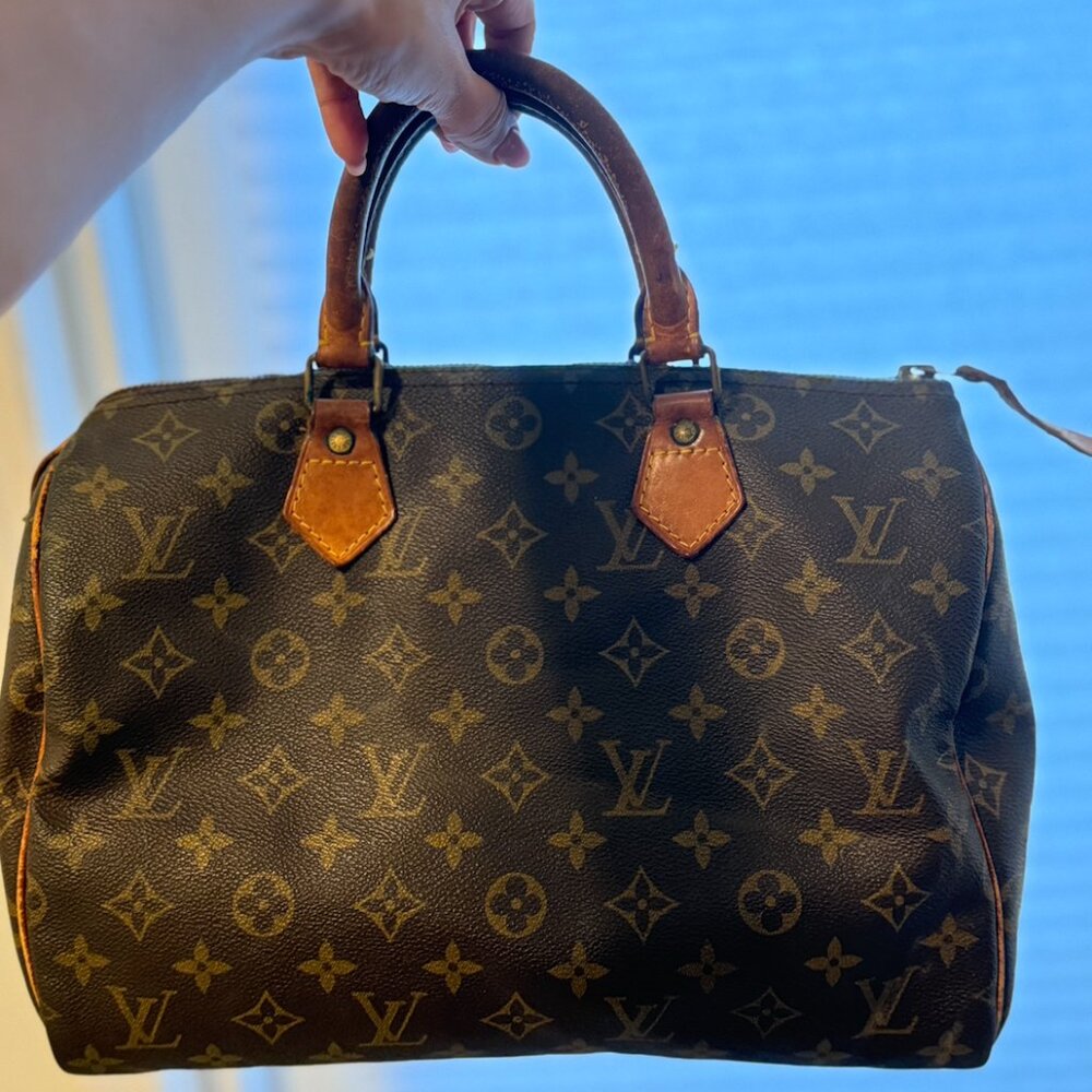 Louis Vuitton Speedy 30 Canvas Purse